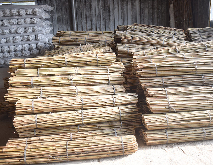 5FT Bamboo cane