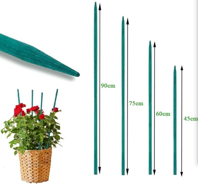 55cm Factory Wholesale Bamboo Support Garden Flower Sticks 