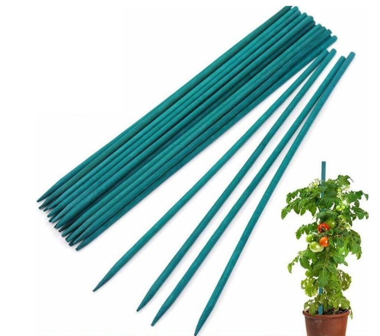 45cm (18inch) Green bamboo stakes seeding support pin